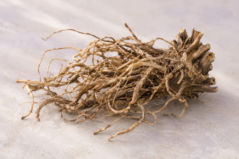 Dried valerian roots